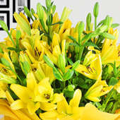 12 Yellow Lilies Bunch Zoomed View